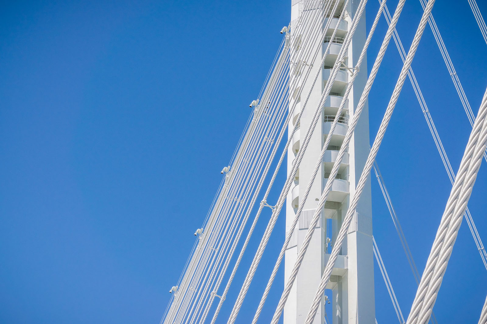 White suspension cables connecting the structure of a bridge against a blue sky